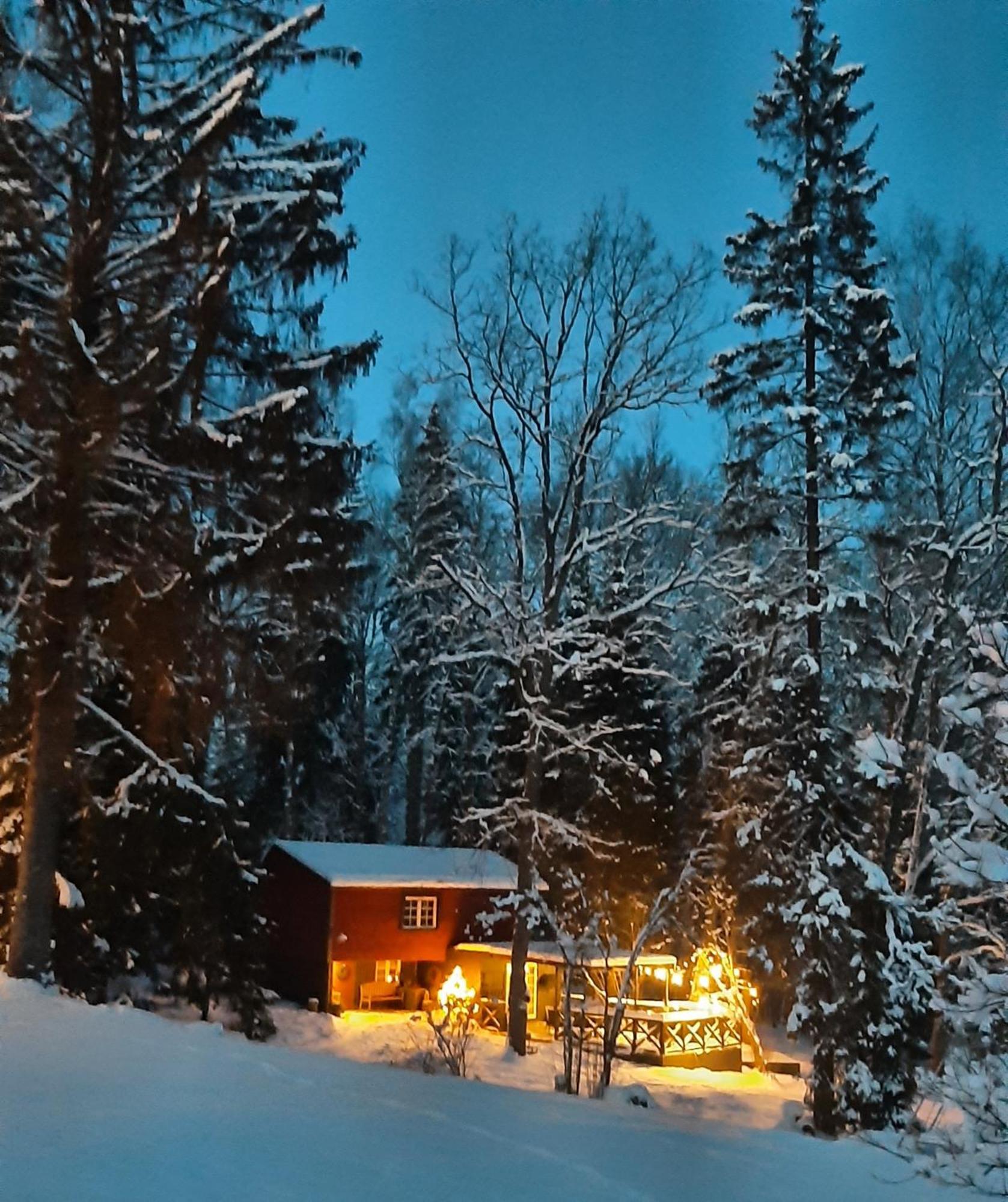 Mosku Pirts Meza Maja Villa Turaida Luaran gambar