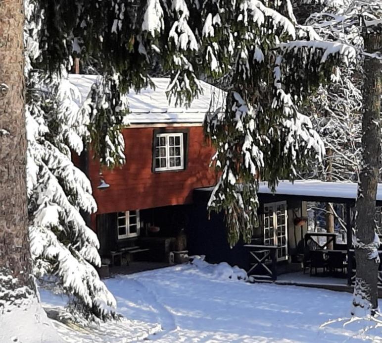 Mosku Pirts Meza Maja Villa Turaida Luaran gambar
